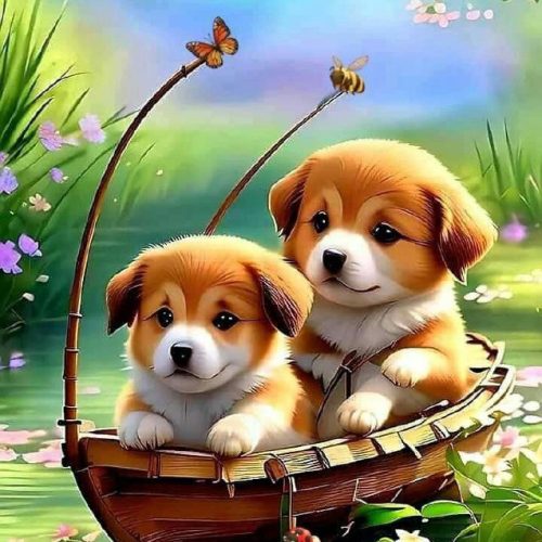 Sailing Dogs